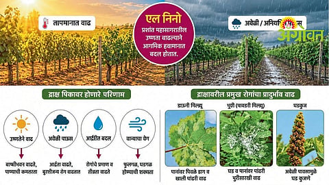 Climate Change Impact