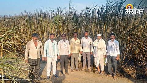 Fire Destroys Sugarcane On 45 Acres In Chhatrapati Sambhajinagar