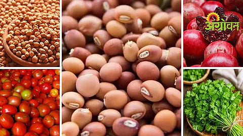 Agrowon Podcast
