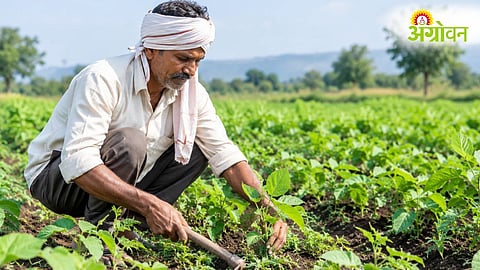 Farm Loan Waiver