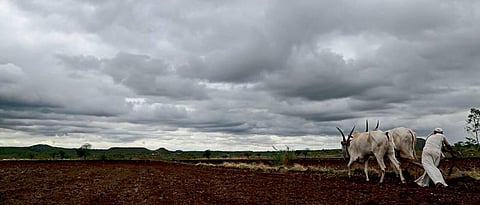Farmers' suicides