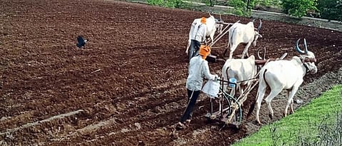 Indian Agricultural
