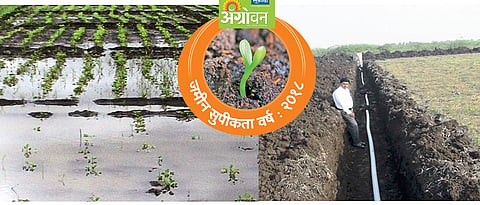 अतिपाण्यामुळे क्षारपड होतेय जमीन