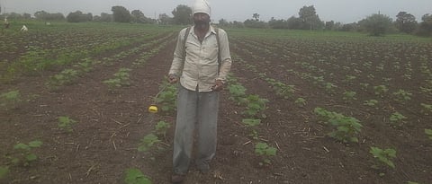 जळगाव जिल्ह्यातील अनेक प्रकल्प कोरडेच