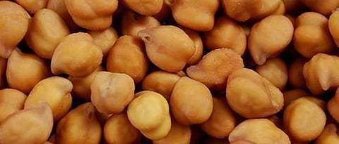 Purchase 20,000 quintals of gram in Parbhani, Hingoli