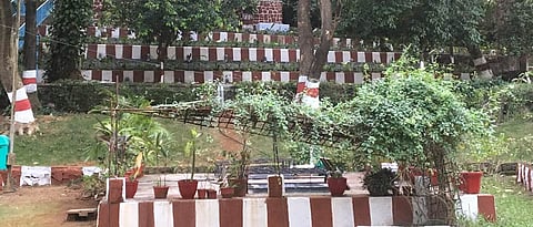 सांडपाणी शुद्धीकरणासाठी रीड बेड पद्धतीचा वापर फायदेशीर ठरतो