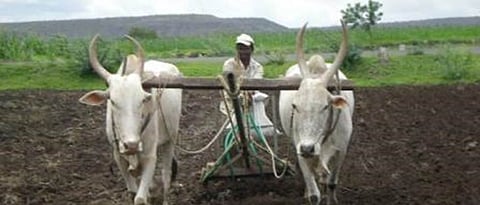 62 farmers benefited due to lack of 'Aadhaar'