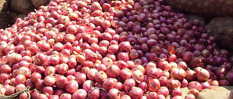 Onion 
