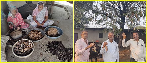 Shankar Jadhav and their family members while showing tamarins of their trees
