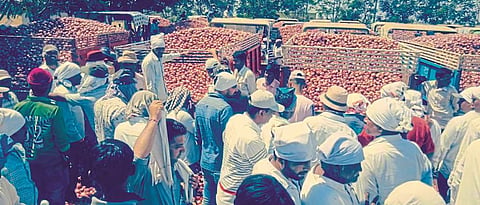 Nashik onion