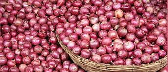Onion Market