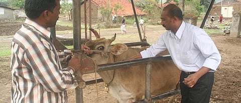 Animals suffer from stomach problems 