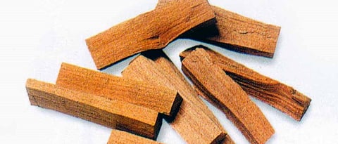 Indian sandalwood
