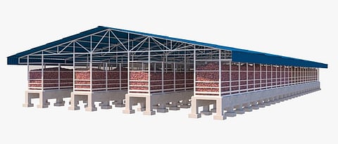 onion storage structure