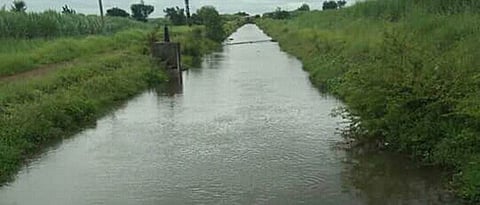  Fill the lake with ‘Takari’, ‘Mhaisal’