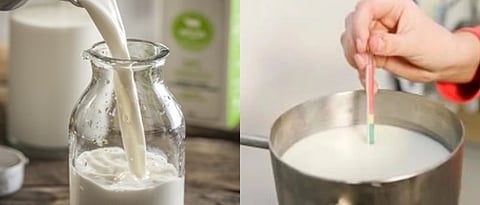 milk