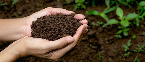 Soil Test