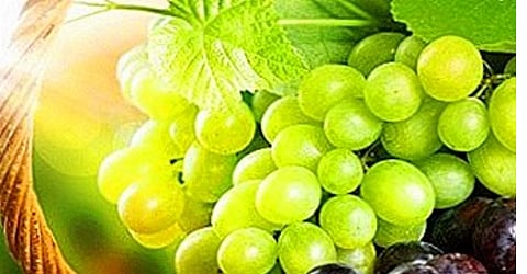 Delivery of grapes to Russia via Iran