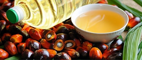 Palm oil mission