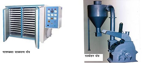 फुलांच्या पाकळ्यांवरील प्रक्रिया