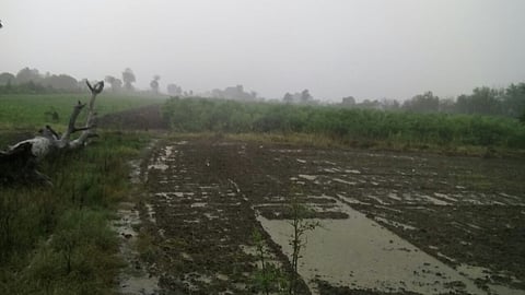 Marathwada Rain 