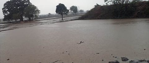 पाऊस