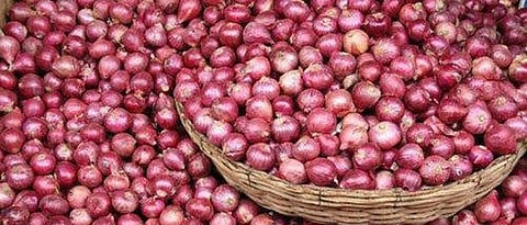 onion 