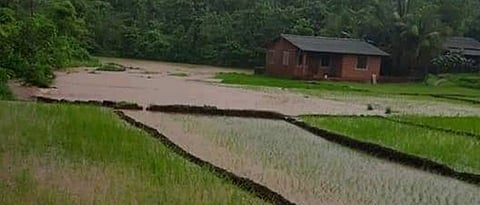 monsoon back