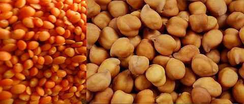 मसूर आणि हरभऱ्यावर ३० टक्के आयात शुल्क