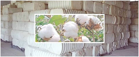  Cotton Rate 