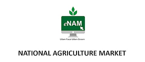 e-nam 