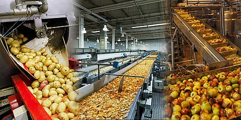 food processing 