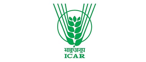 National Onion and Garlic Research Institute