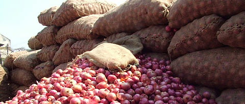 Onion Market