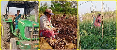 पीक व्यवस्थापनात रमलेल्या बिजलीताई