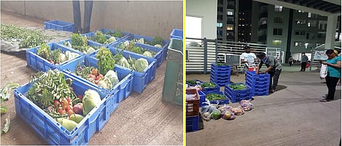 Purandar Natural Brand sales their agricultural produce directly to the consumer 