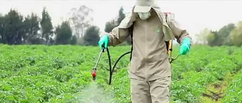 pesticides spraying  