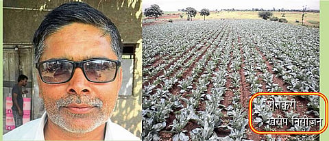 पीकबदल, आंतरपिकामुळे हवामान बदलाचा सामना