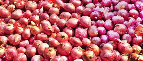 Onion