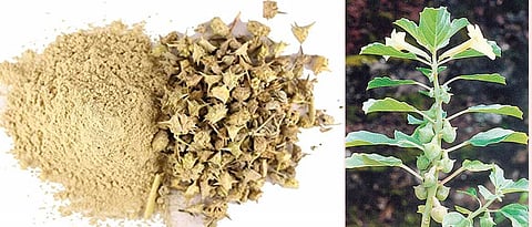 Gokharu