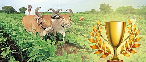 कृषी पुरस्कार