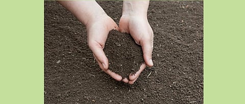 प्रत्येक जिल्ह्याचे असावे ‘इन्व्हायर्न्मेंटल हेल्थ कार्ड’ Should belong to each district ‘Environmental Health Card’