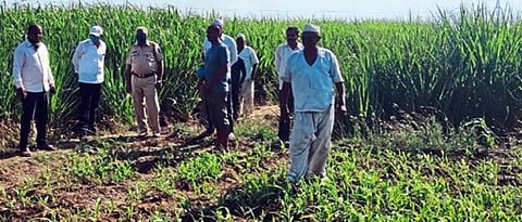 Crop Damage