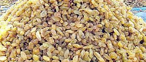 10 crore from bank for raisin mortgage scheme