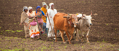 History of agriculture in India after Independence