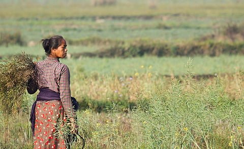 women in agriculture