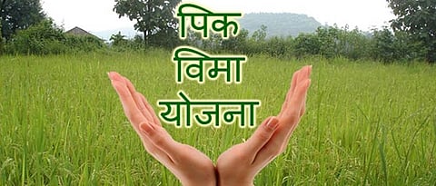 Crop Insurance