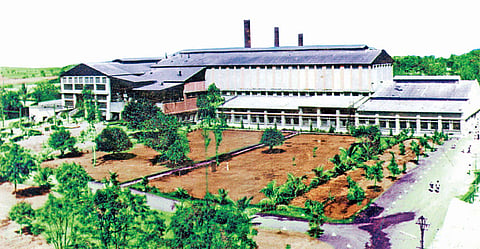 nashik sugar factory