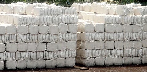 Cotton Market 