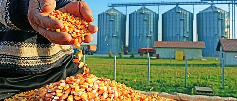 कृषी व अन्नप्रक्रियेसाठी  स्वतंत्र संचालनालय स्थापन For agriculture and food processing Establishment of independent directorate